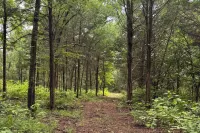 Private 60-acre Retreat Near Lake Murray & Texoma - Wifi