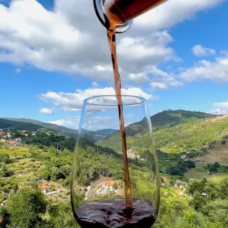 Private Douro- Quinta Das Susandas