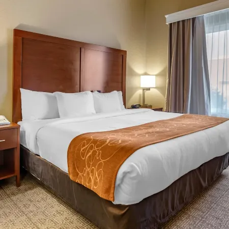Comfort Suites Jonesboro University Area
