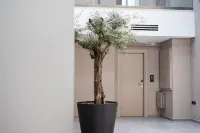 オリンパス ジャンカエア