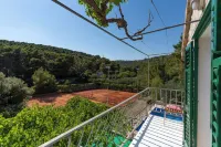 Studio Apartment Slivje - Homestays