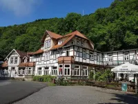 Hotel Zur Luppbode - Pet friendly