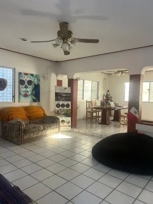 Treebu Hostel - 2-Star
