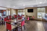 Comfort Suites at the University - Pools