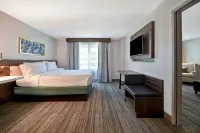 Hilton Garden Inn Houston/Galleria Area - spa