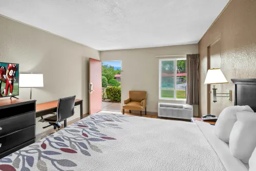 Red Roof Inn Hot Springs - piscina