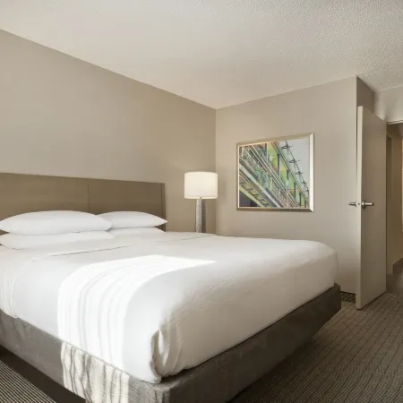 Embassy Suites by Hilton Cleveland Rockside