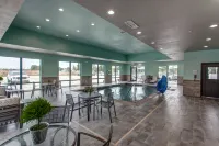威奇託/機場希爾頓歡朋套房酒店 - 2星級