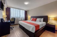 Comfort Inn San Luis Potosi - Pet friendly