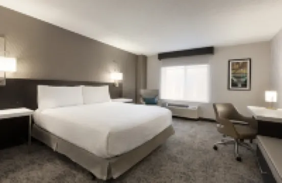 Hilton Garden Inn Wash DC Downtown