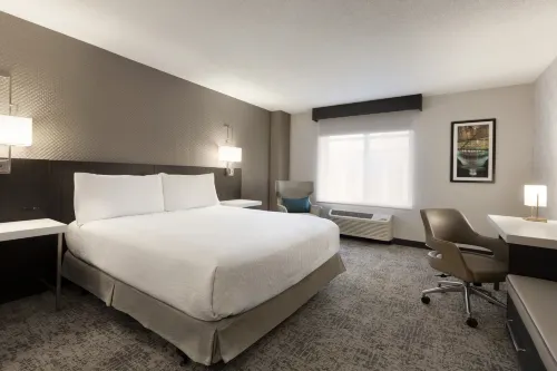 Hilton Garden Inn Wash DC Downtown - プール
