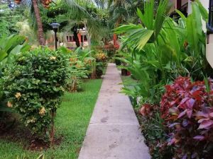 Room in Condo - Nice Condo to Vacation in Playas del Coco