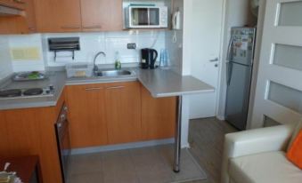 Emilysuites Vina del Mar