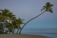 Six Senses Fiji, an IHG Hotel - Ocean View