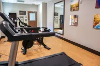 Comfort Suites Gainesville Near University - Gym