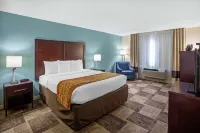 Wyndham Garden Newark/Fremont Silicon Valley Hotels in Newark