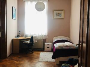 Apartman Harmonija Nalazi Se U Centru Karlovca