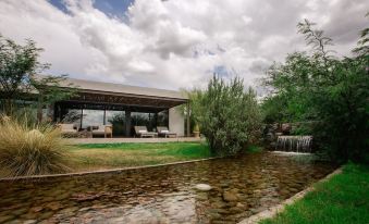 a modern house surrounded by lush greenery , with a pond and a waterfall in the background at The Vines Resort & Spa