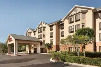 Hampton Inn & Suites Tarpon Springs Hotels in Tarpon Springs