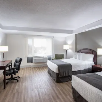 Viscount Gort Hotel, Banquet & Conference Centre Hotels near The Leaf