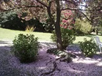 Hotel du Parc Hotel a Stresa