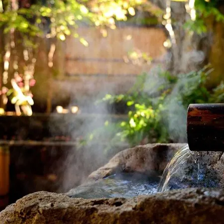 Tsumikusa No Yado Komatsu Ryokan
