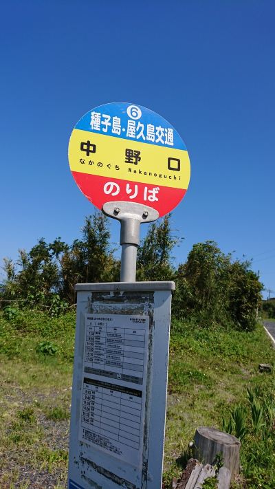 ホテル周辺 マリンブルー屋久島の写真