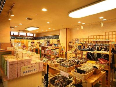 共有エリア 胡蝶蘭の写真