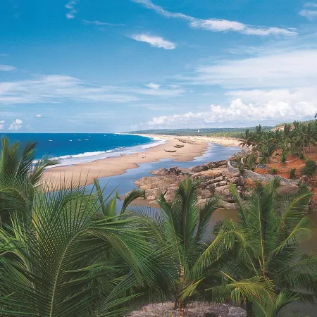 Somatheeram Ayurveda Village