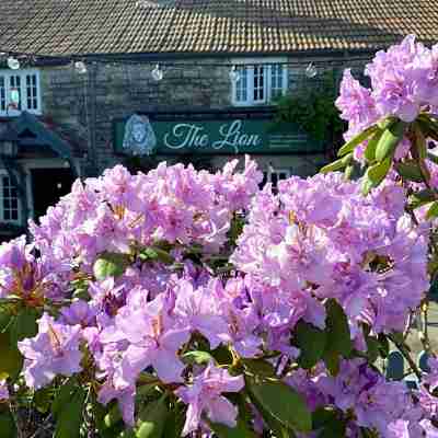 The Lion at West Pennard Hotel Exterior