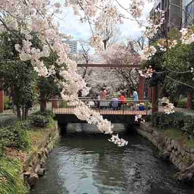 Okayama Koraku Hotel Hotel Exterior