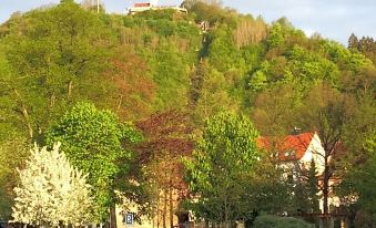 a tree - lined street in a park , with a small building visible on the hillside in the background at Hotel am Kurpark