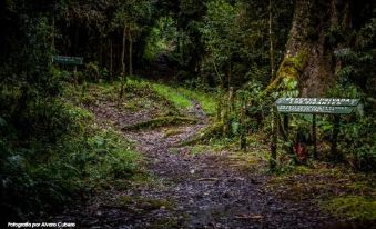 Paraíso Quetzal Lodge