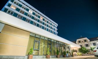 Hotel Tarnava - Housity