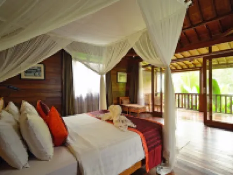 ぺルティウィ ビスマ 1