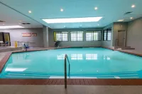 Holiday Inn DALLAS-RICHARDSON by IHG - Pools