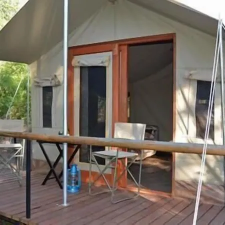 The Wild Olive Tree Camp