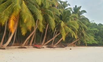 Sangri Las Beach Resort-Havelock Island