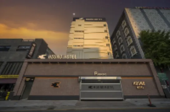 Daegu Dongdaegu Station Hound Daegu Dongdaegu Station