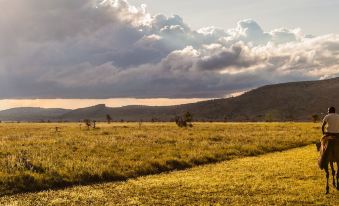 a grassy field with a few cows grazing , and a cloudy sky in the background at Elewana Lewa Safari Camp