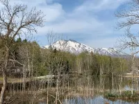 Field Tree Hotels in Isoya District