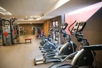Ohtels Vil·la Romana - Gym