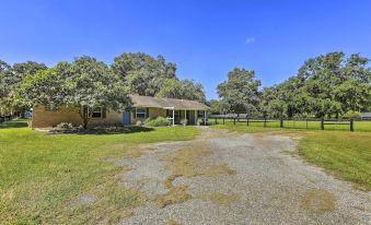 Pet-Friendly Home Close to Wec Ocala!