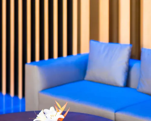 Radisson Hotel, Dakar Diamniadio Общественные зоны Photos