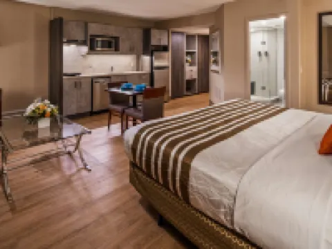 Best Western Plus Ottawa City Centre Hotels in Ottawa