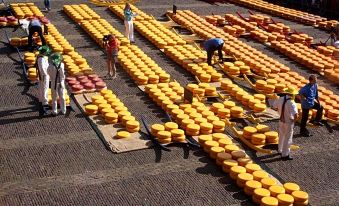 8. 호텔 슈타드 앤..