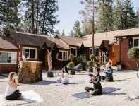 Grand Pine Cabins Hotels in Wrightwood