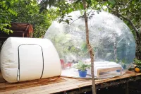 Glamping Amazonas - Homestays