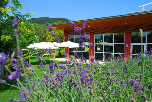 Hotel Stenitzer - spa