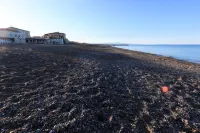 Hotel Cecina Beach - con vista mare